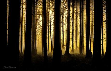 Sélection Pixfan 500px #89 Friedrich Beren