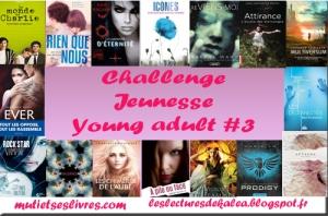 Challenge jeunesse-young adult #3 challenge jeunesse young adult 2013.jpg