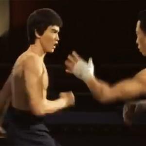Bruce Lee et Donnie Yen