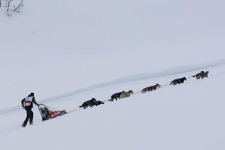 La Grande Odyssée Savoie Mont Blanc fête ses 10 ans La Grande Odyssée