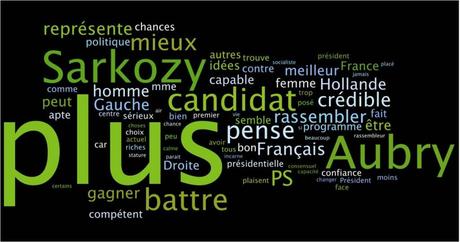 Termes les plus employés pour justifier le choix de François Hollande à la primaire socialiste de 2011