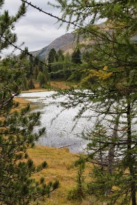 Petite pause forcée car je fais nettoyer mon appareil photo Petite pause forcée car je fais nettoyer mon appareil photo
