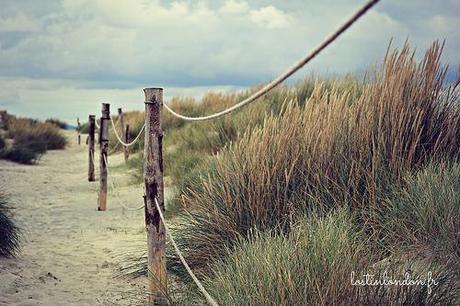 Blog Awards | Les Meilleurs Blogs et Articles de Voyage en Octobre East Head, Sussex, credit photo @Lost and Found in London