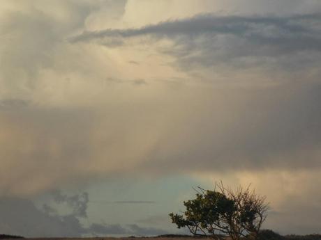 sous le galet peint sous le galet peint