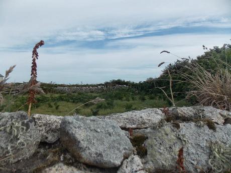 sous le galet peint sous le galet peint
