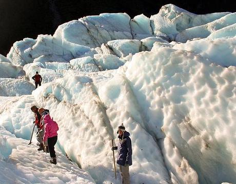 La Nouvelle-Zélande, à découvrir sans modération. Fox glacier