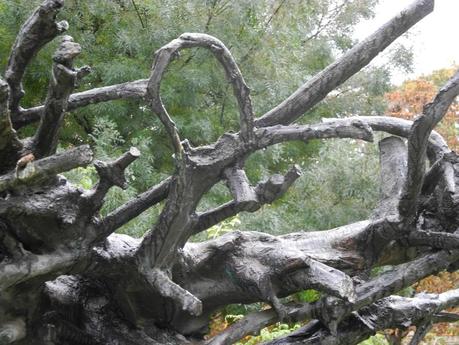 FIAC 2013 aux Tuileries DSCN5546