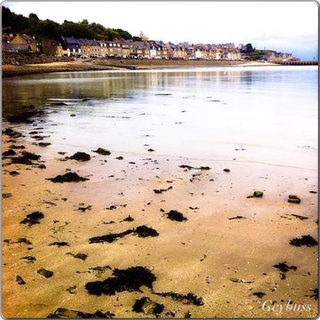 UN DIMANCHE A CANCALE ET SES ENVIRONS Instagram-4922.JPG