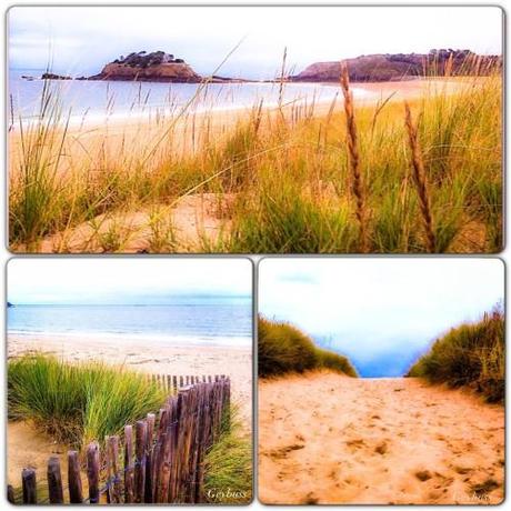 UN DIMANCHE A CANCALE ET SES ENVIRONS Instagram-4920.JPG