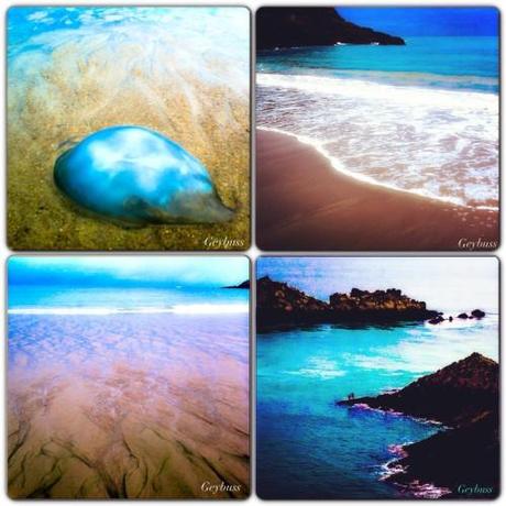 UN DIMANCHE A CANCALE ET SES ENVIRONS Instagram-4919.JPG