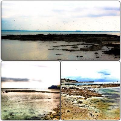 UN DIMANCHE A CANCALE ET SES ENVIRONS Instagram-4923.JPG