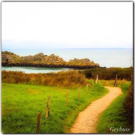 UN DIMANCHE A CANCALE ET SES ENVIRONS Instagram-4924.JPG