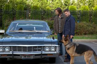 Supernatural – S09E05 « Dog Dean Afternoon » – Fiche Episode