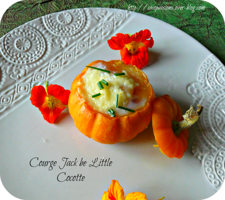 Courge Jack be little cocotte P1170332.png