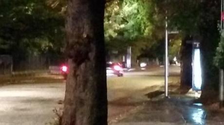 Un aperçu de la qualité de l’APN du Nexus 5 crop5_2