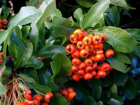 Un aperçu de la qualité de l’APN du Nexus 5 n5-sample-09