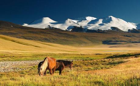 mongolie-paysages.jpg