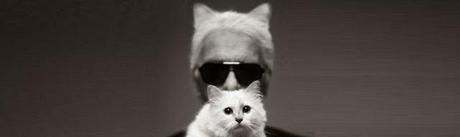 Hommage à Choupette by Karl