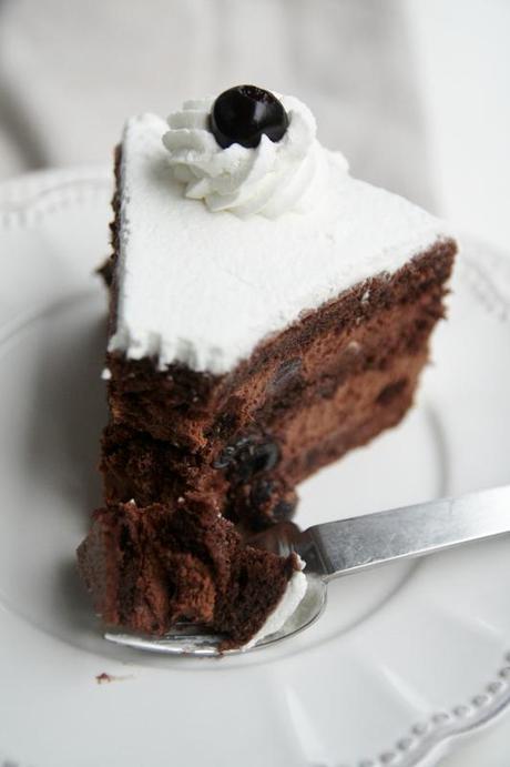 Forêt blanche 2012-11-19 046