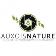 27 podcasts pour apprendre la photographie 27 podcasts pour apprendre la photographie