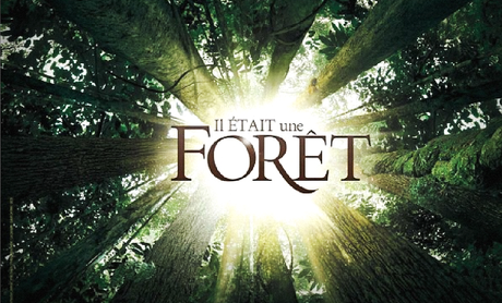 Pour la première fois, une forêt tropicale va naitre sous vos yeux… Il Etait une Forêt - Luc Jacquet