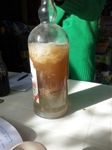 Je rentre de quatre jours intensifs pendant lesquels j'ai... 4