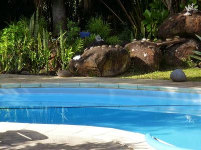 Salade des Iles! Salade des Iles!