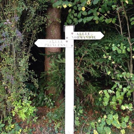 Mes p’tits bonheurs Mes p’tits bonheurs