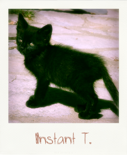 Mr Le Chat ! Instant-T.-39