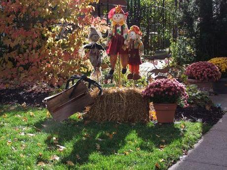 les couleurs de l'automne 108