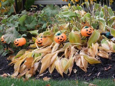 les couleurs de l'automne 109