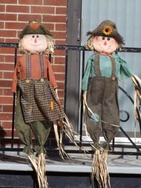 les couleurs de l'automne 116