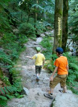 Le Tag d’Aurélia Les_Sauts_du_Gertelbach_Fin