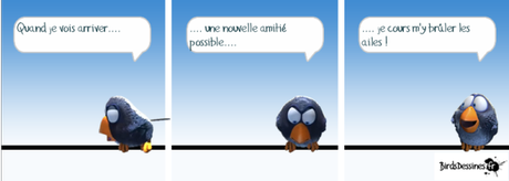 Le Tag d’Aurélia Amitie_Birds