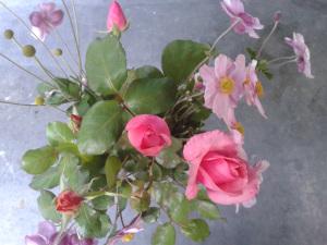 roses anémones 1 (1)