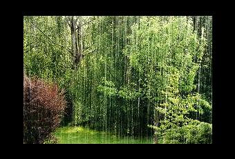 Gestion de leau au jardin : un bassin sans pompe ni