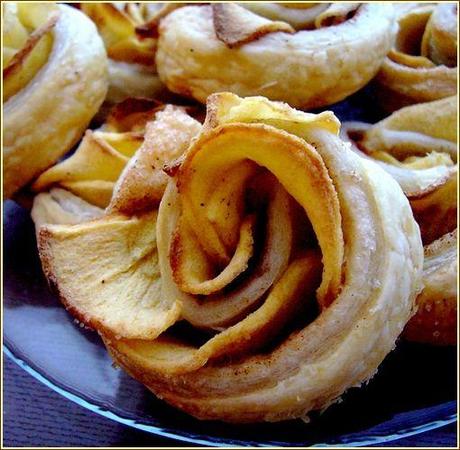 Roses feuilletées rose feuilltées gros plan