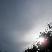 Trop bon trop C.. Les blablas de vivi