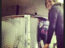 Champagne Vivier & Co 1381492_10153331807485175_750209389_n