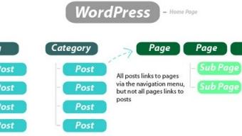 La structure du site, et différences entre Pages et Articles dans WordPress – Walkcast Le référencement dans Google [67]
