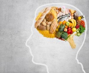 NEURO et OBÉSITÉ: Quoi de neuf dans notre relation à la nourriture? – Neuroscience 2013
