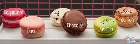Macarons & Chocolats dans ma Bonbonnière lesmacarons