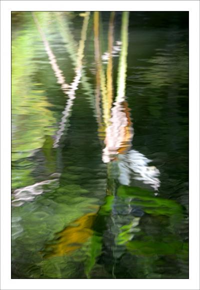 Jardins en pause Jardins de la Fontaine, Nîmes, Parcs, Jardins publics