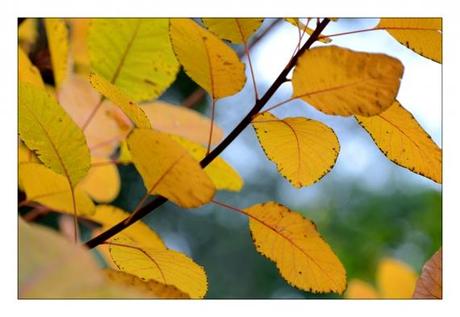 Jardins en pause Jardins de la Fontaine, Nîmes, Parcs, Jardins publics