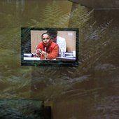 Des hoax à ronger Des hoax à ronger