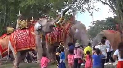 Thaïlande: Ceremonie des elephants blancs [HD]