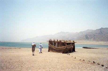 La photographie du jour La photographie du jour