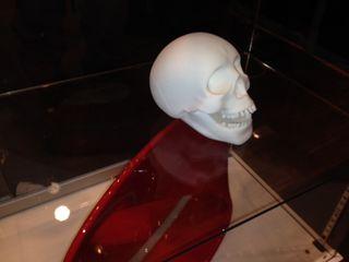 Photo 3 (13) Photo 3 (13)