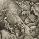 Fresques Animalières – Adonna Khare Adonna Khare 03