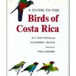 oiseaux du costa rica